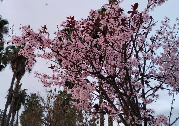 MARZO. DEL CORAZÓN A LOS ASUNTOS.