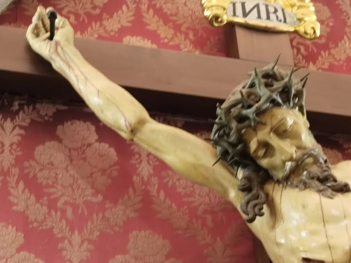 CARDOS Y PENAS LLEVO POR CORONA. TREMENDO MARTIRIO.