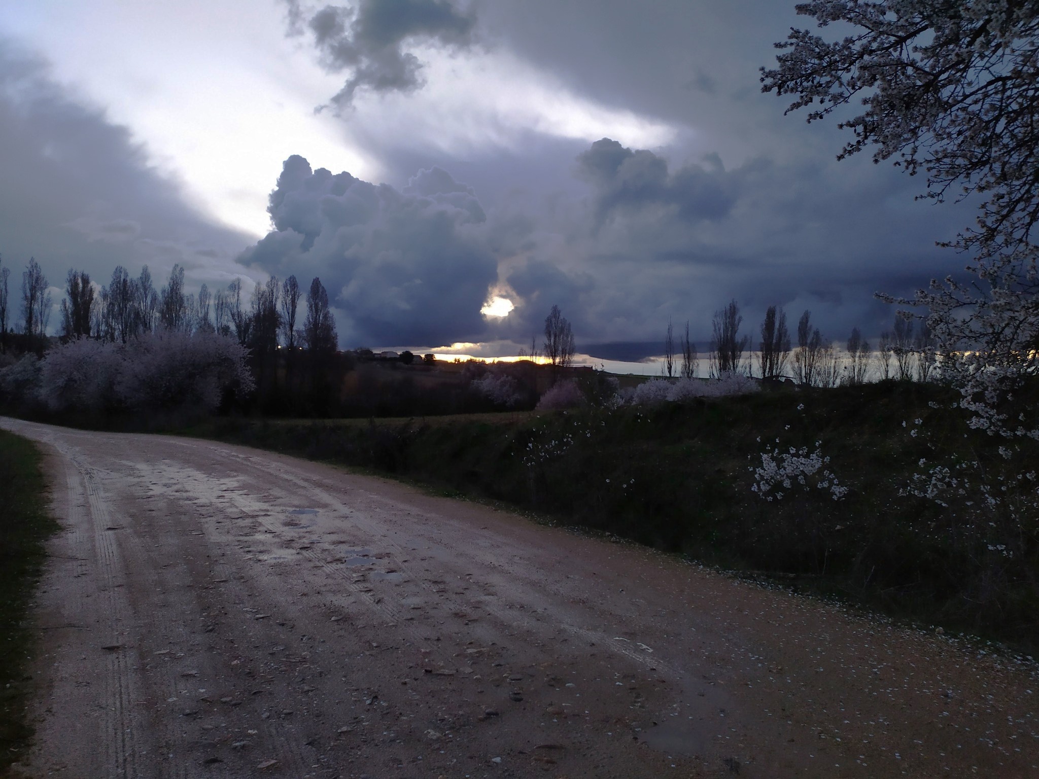 NADIE PUEDE ENCARCELAR EL AIRE