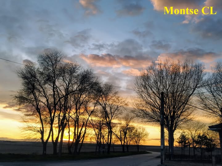 SALUDO FUENTEPIÑELANO 4638.