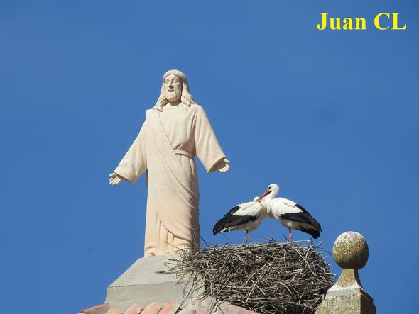 SALUDO FUENTEPIÑELANO 4645.