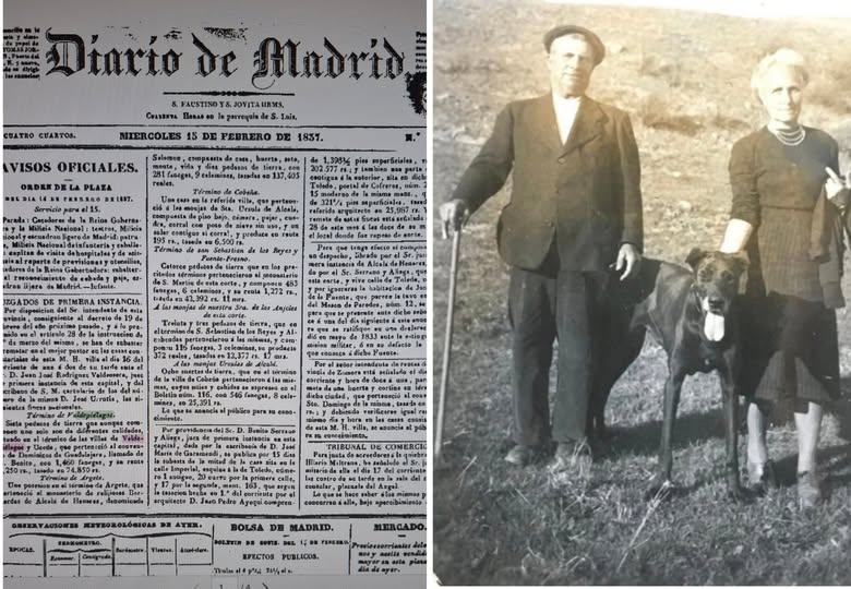 UNA SUBASTA EN LA HISTORIA DE VALDEPIÉLAGOS (MADRID)