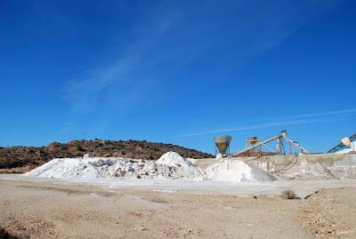 LAS AGUAS DEL VINALOPÓ CONTAMINADAS CON SAL EN 1868.