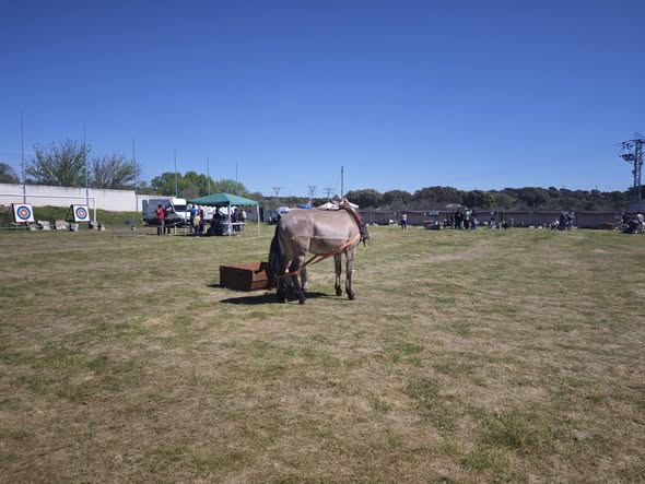 LA I CONVIVENCIA DE REHALAS, CELEBRADA EN TORREJÓN EL RUBIO, CÁCERES,  TRADICIÓN, CULTURA Y OCIO