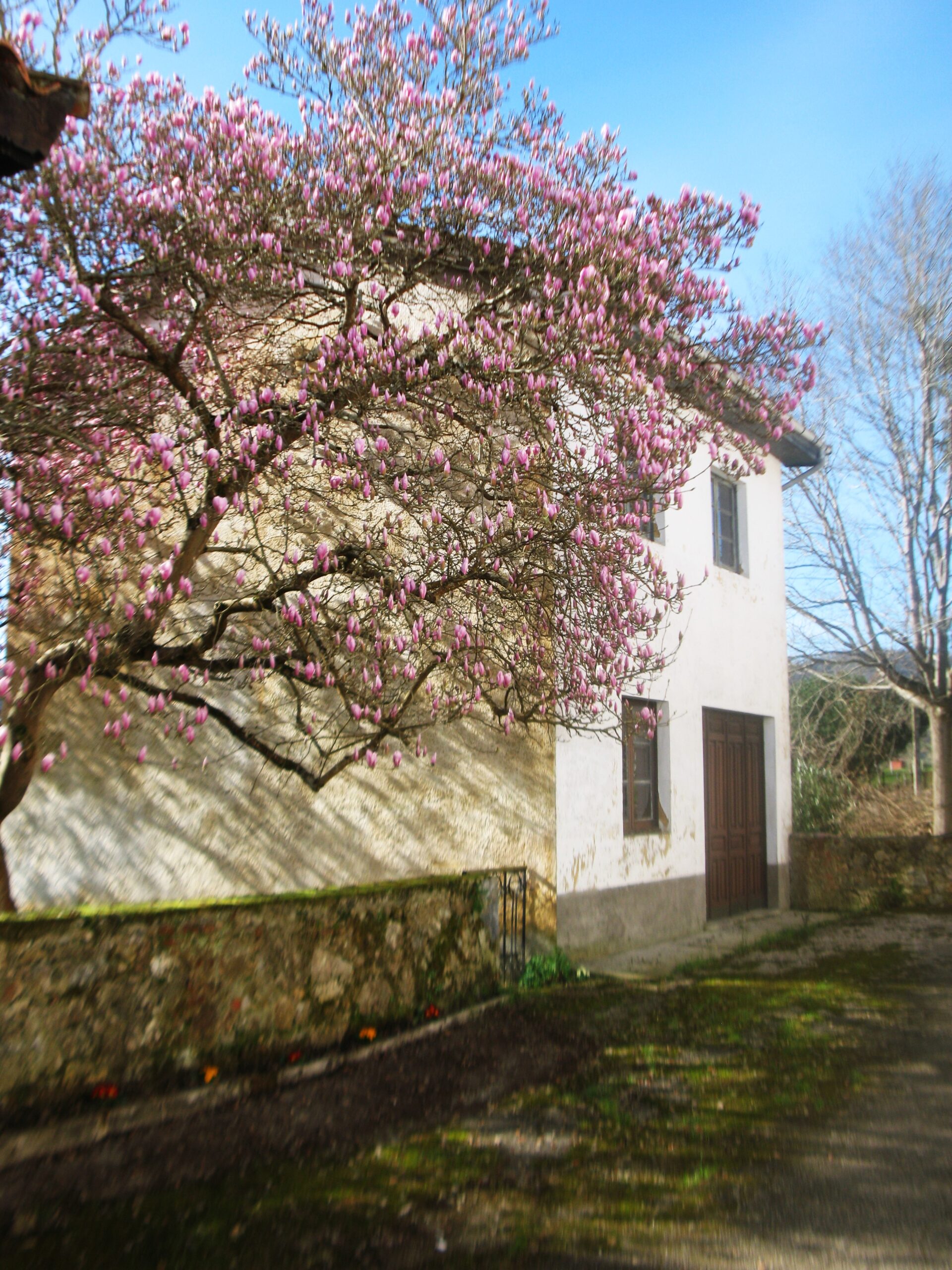 ESTAMPAS NAVETAS “COQUI”