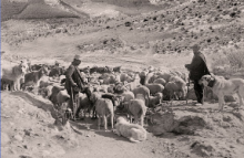 PRESENTACIÓN DEL LIBRO DE RUFINO SANZ PEINADO