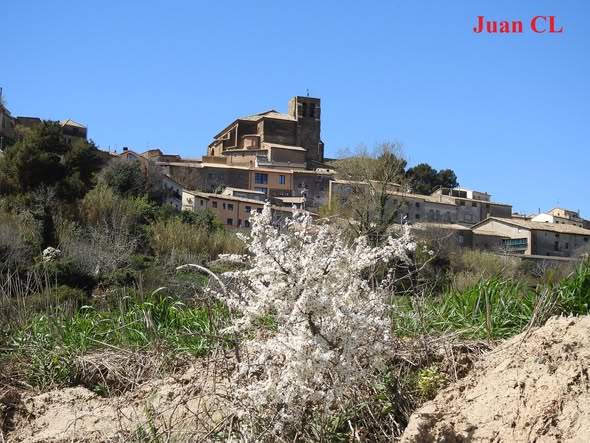 SALUDO FUENTEPIÑELANO-BOLEANO 4660