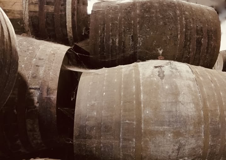 OCULTAN LOS VINOS DE LAS BODEGAS DURANTE LA OCUPACIÓN FRANCESA EN 1810
