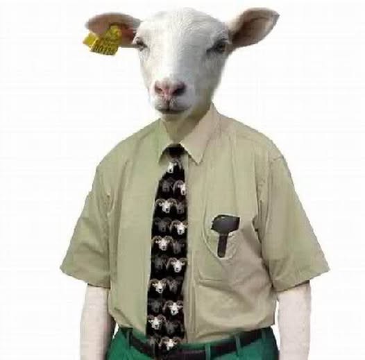 LA SOCIEDAD HOY EN DIA