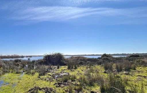 LA LAGUNA PERIDUNAR SANTA OLALLA DE DOÑANA YA NO PUEDE CONSIDERARSE PERMANENTE