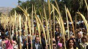 LA COSTUMBRE LAS PALMAS Y LAS REVERENCIAS DE LA  SANTA SEÑA O ARRASTRAR LOS PENDONES EN EL DOMINGO DE RAMOS