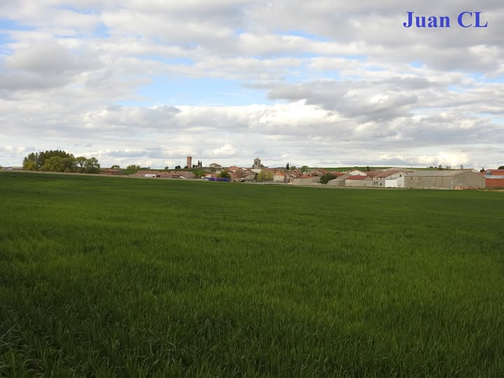 SALUDO FUENTEPIÑELANO 4692.