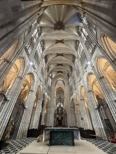 SEGUIMOS POR FRANCIA