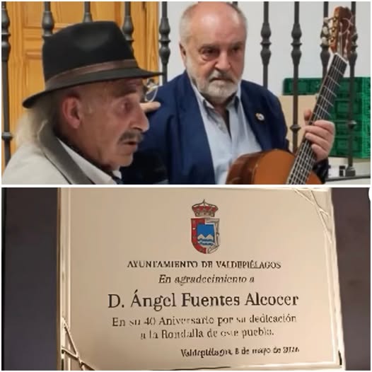 D. ÁNGEL FUENTES ALCOCER.