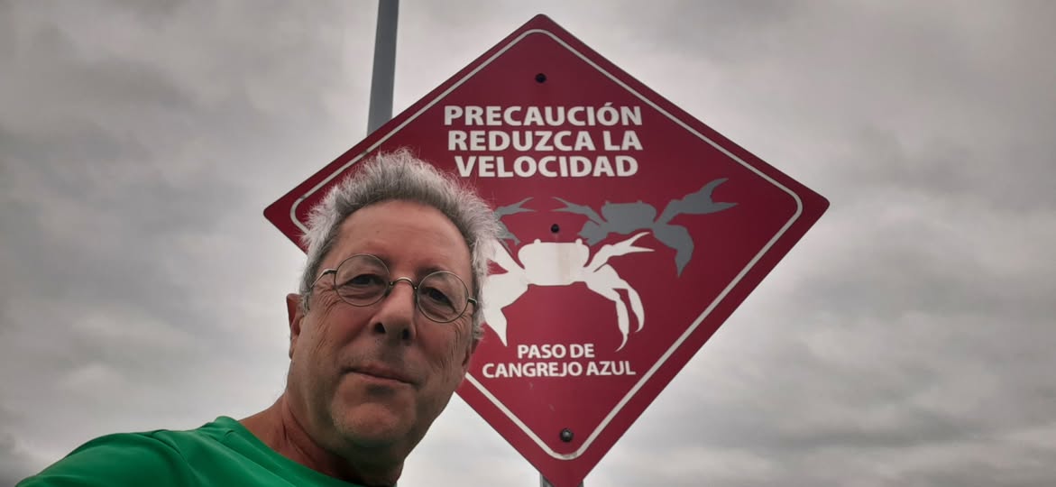 PUNTA TIBURÓN, MUNICIPIO DE ALVARADO (MËXICO)
