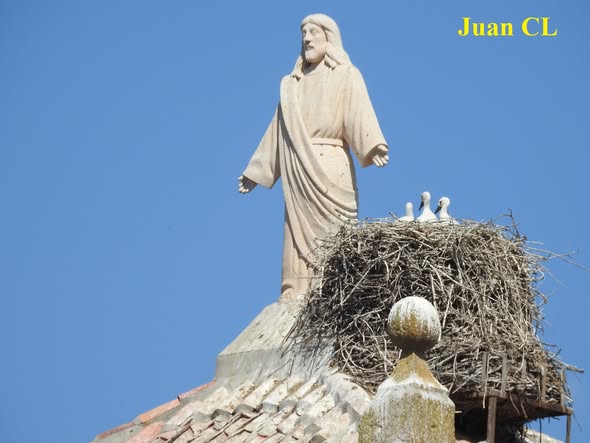 SALUDO FUENTEPIÑELANO 4714.