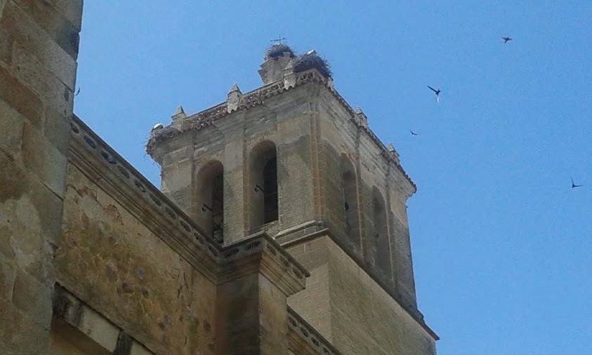 BAJO LA SINFONÍA DE LA PIEDRA ANTIGUA.