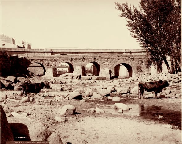 LA MURALLA SE MULTIPLICA.