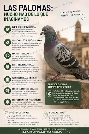 LAS PALOMAS NO SON “UNA PLAGA”: SON SERES VIVOS QUE LLEVAN SIGLOS FORMANDO PARTE DE NUESTRAS CIUDADES Y QUE NOS DAN EJEMPLO CADA DÍA
