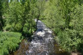 LA PESQUERA QUE NO ESTÁ Y EL RÍO QUE SE VA