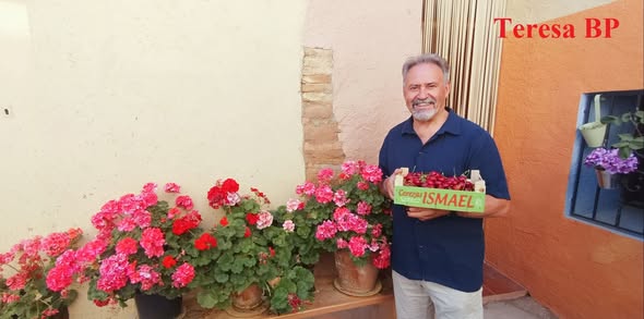 SALUDO FUENTEPIÑELANO-BOLEANO 4727.