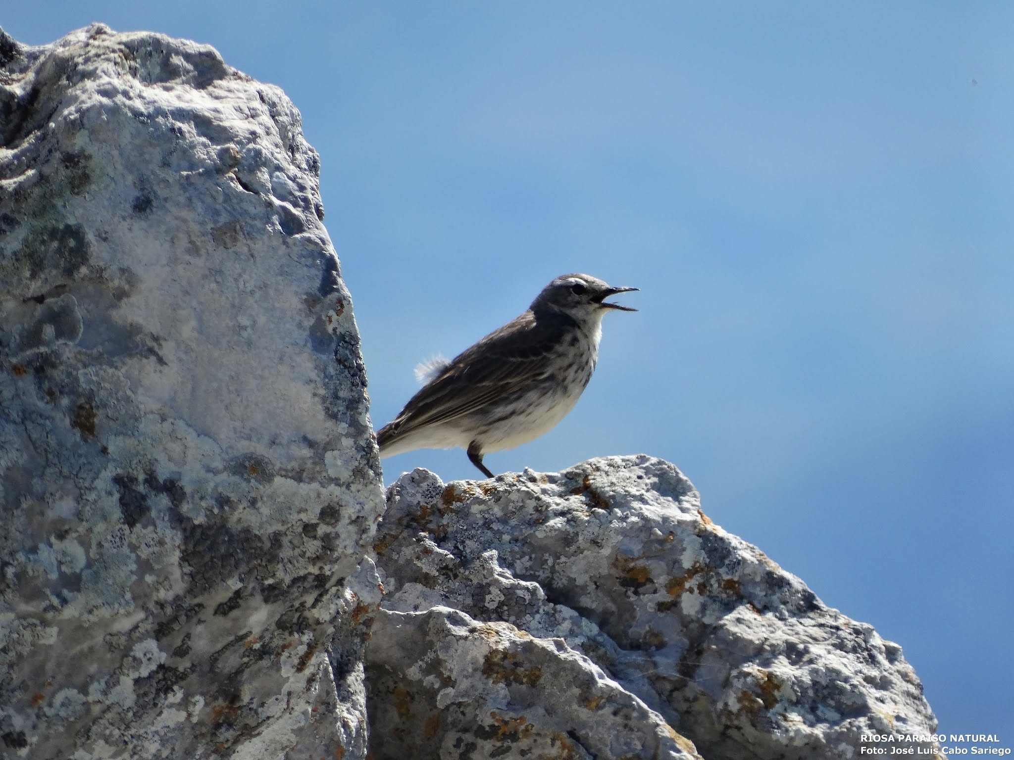 LA SIERRA L´ARAMO, UN AUTÉNTICO PARAÍSO PARA EL REINO ANIMAL