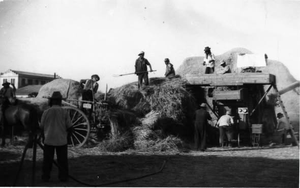 LA FIESTA DE LAS ERAS