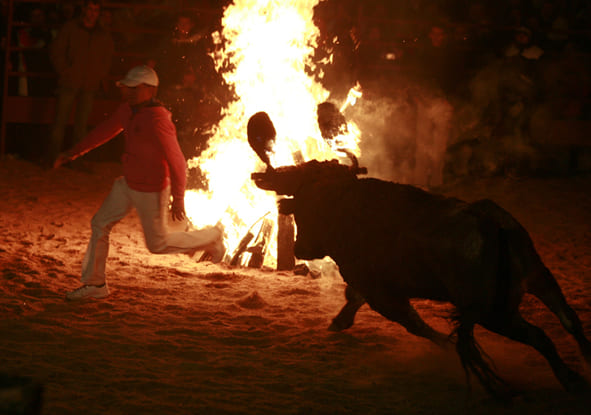 TORO JUBILO, GRATITUD Y ANTITAURINOS