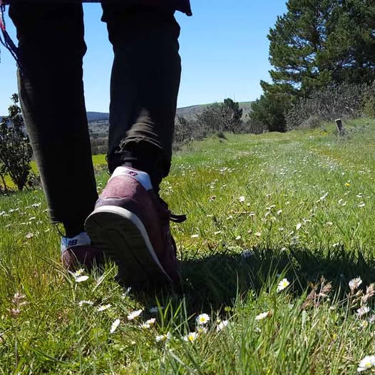 RUTAS TEMATIZADAS PARA SENDERISTAS DEL CAMINO DEL CID