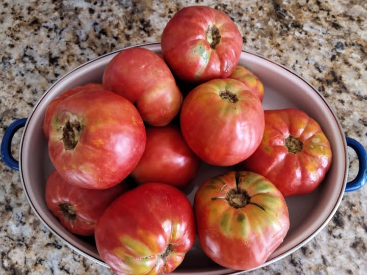 SABORES DE MONTIJO.