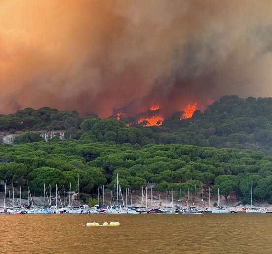 GRANDES INCENDIOS EN LA COMUNIDAD DE MADRID, LAS PROVINCIAS DE ÁVILA, LEON, TOLEDO Y CIUDAD REAL, ASOLAN UNA PARTE MUY IMPORTANTE DEL TERRITORIO DE ESPAÑA.