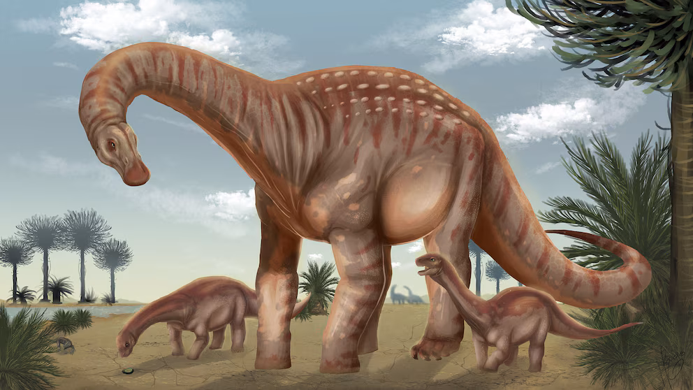 DESCUBRIERON EN URUGUAY UN DINOSAURIO GIGANTE DE 83 MILLONES DE AÑOS Y LO LLAMARON “EL PROTECTOR”