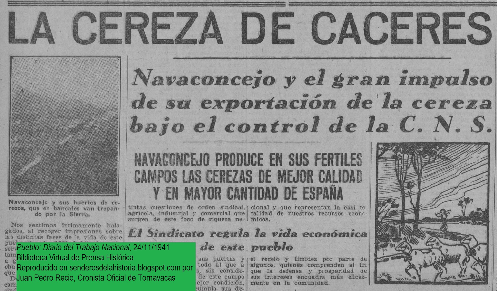 HISTORIAS DE LA CEREZA EN EL JERTE (I). LOS TIEMPOS DE LA POSGUERRA. LA DÉCADA DE 1940