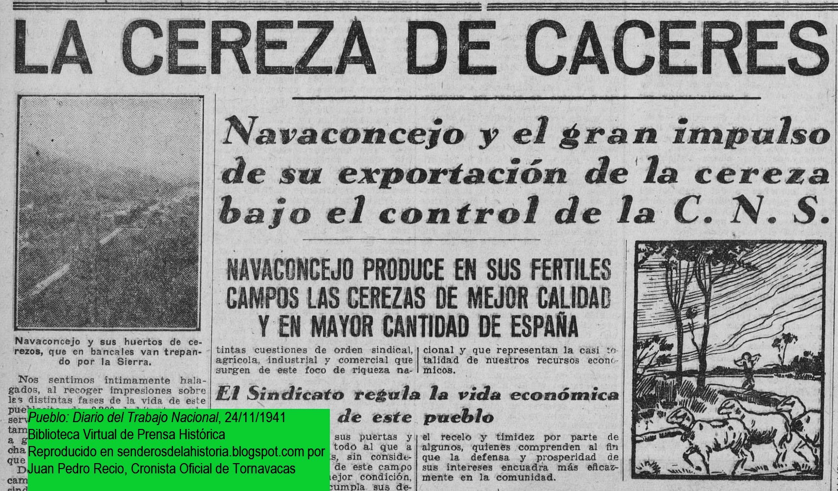 LA CEREZA EN EL JERTE EN LOS AÑOS DE LA POSGUERRA. LA DÉCADA DE 1940 (I). LAS CEREZAS DE NAVACONCEJO