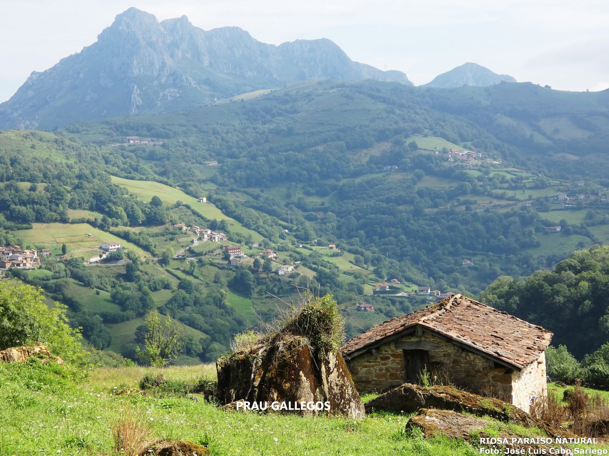 CUANDO EL PAISAJE CUENTA SU PROPIA HISTORIA: LAS PIEDRAS DE GALLEGOS Y EL GIGANTESCO MOVIMIENTO DE LADERA DE LA PENA LLAGOS (RIOSA)