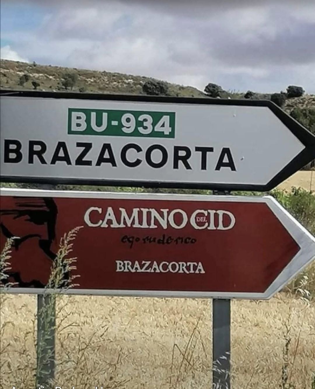 CRÓNICAS DEL NO OLVIDO