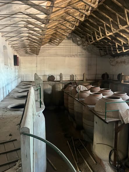 DÍAS QUE TRAERÁN LATIDOS DE UVAS.