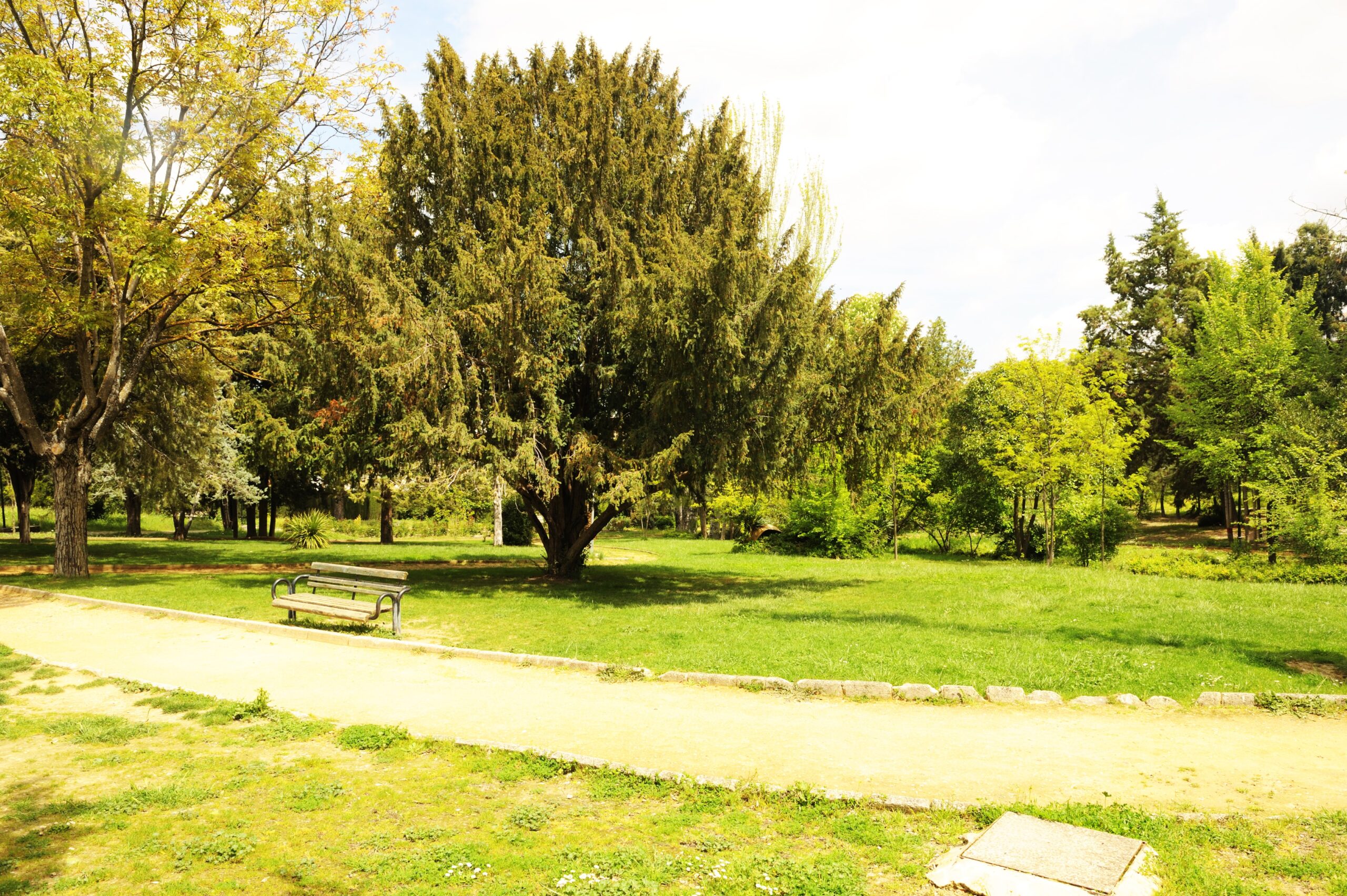 PARQUE DE SAN BLAS EN VILLANUEVA DEL ARZOBISPO. CIEN PRIMAVERAS FLORIDAS, 1926-2006