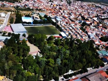 PARQUE DE SAN BLAS: CIEN PRIMAVERAS FLORIDAS, 1926-2026. (IV FINAL)