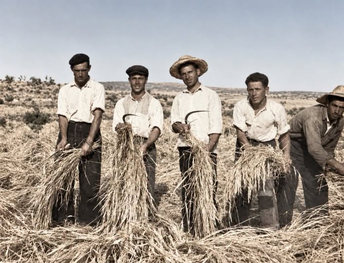 LA SIEGA A MENOS DE VALDETORRES