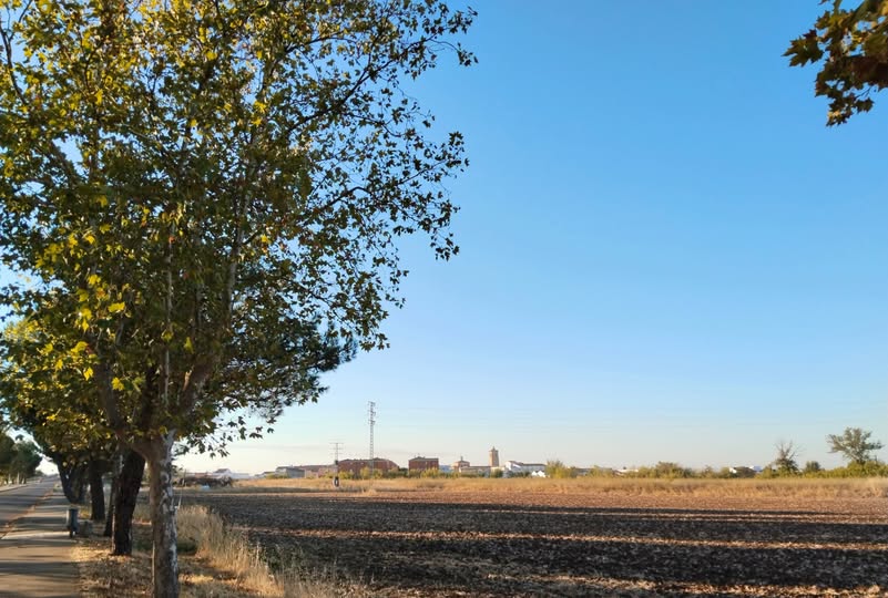 EL OTOÑO ABRE SUS PUERTAS