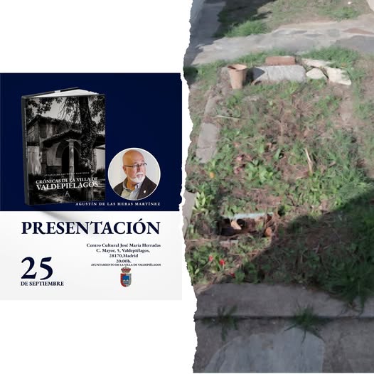 NO TE LO PIERDAS
