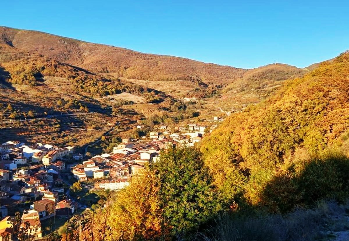 EL CASTAÑO: EL ÁRBOL QUE, DURANTE SIGLOS, POBLÓ LAS LADERAS Y CAMPOS DEL JERTE