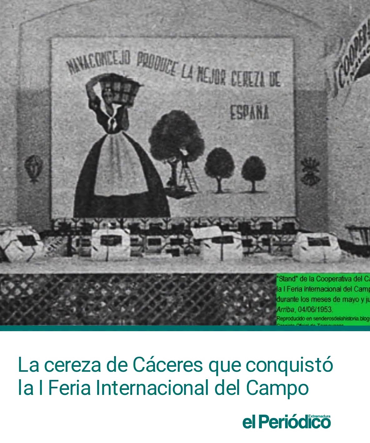 LA CEREZA DE CÁCERES QUE CONQUISTÓ LA PRIMERA FERIA INTERNACIONAL DEL CAMPO DE MADRID EN 1953