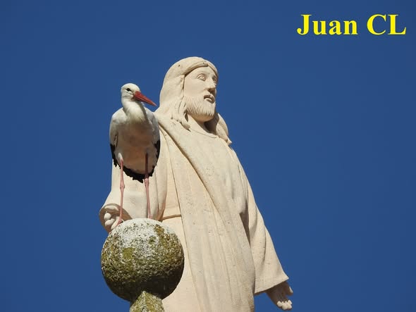 SALUDO FUENTEPIÑELANO 4866.