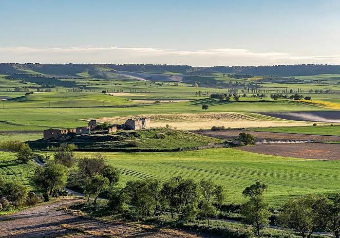 HACIENDA DE TABLADA: DE DEHESA HISTÓRICA A ESPACIO ESTRATÉGICO DEL PAISAJE FLUVIAL SEVILLANO