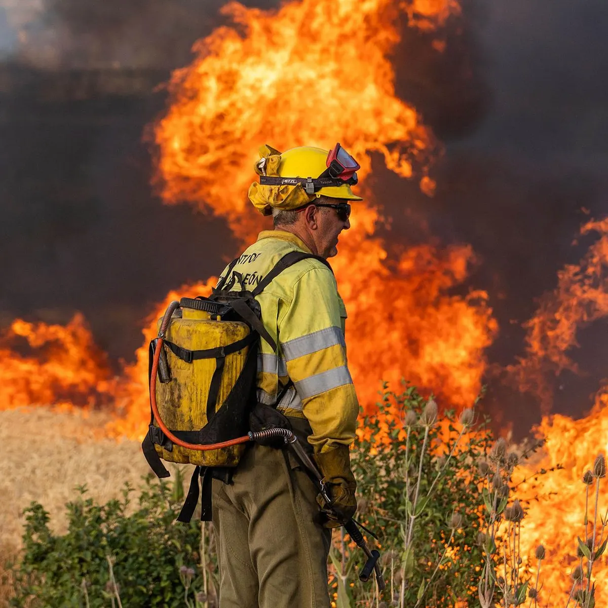 INCENDIOS FORESTALES EN ESPAÑA